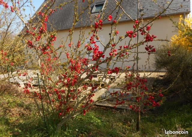 Maison à vendre, 162m², Mazangé