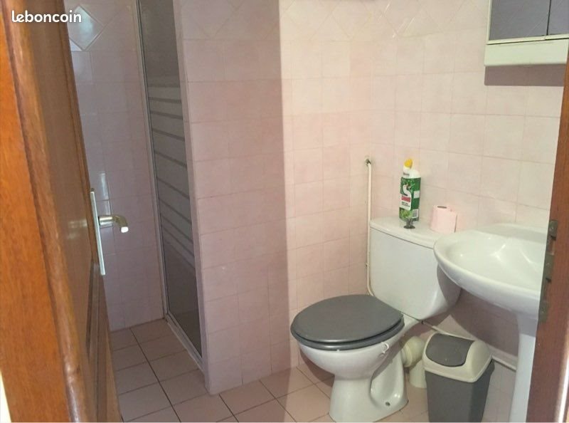 Appartement à louer, 28m², Chambéry
