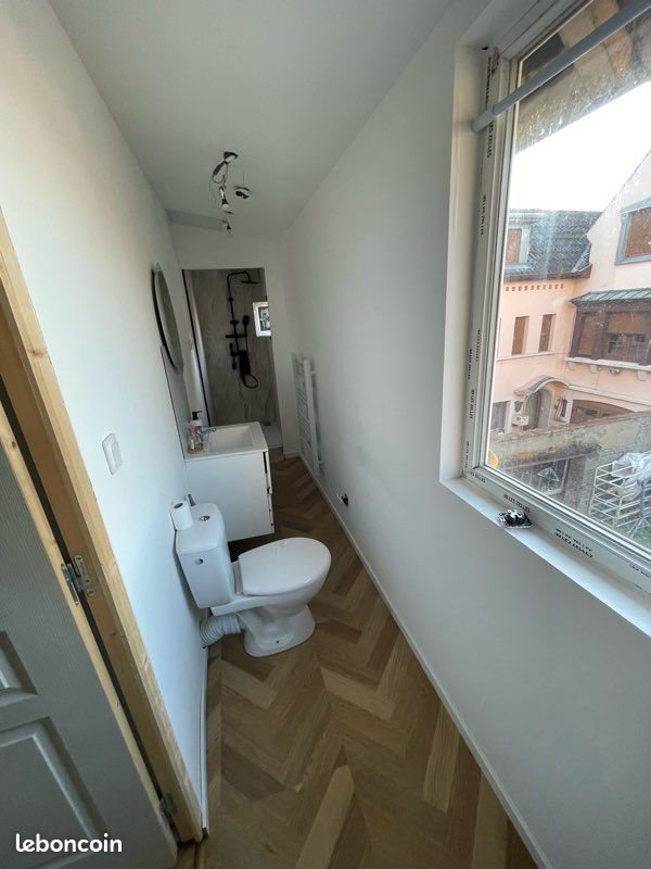 Appartement à louer, 35m², Ensisheim