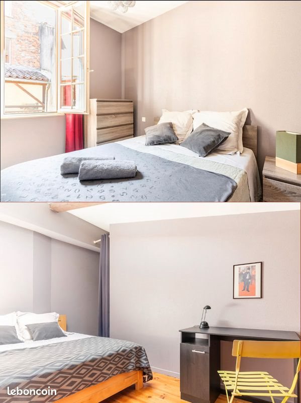 Appartement à louer, 46m², Albi