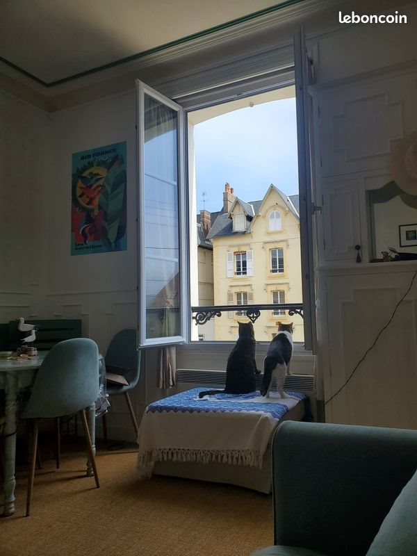 Appartement à louer, 21m², Cabourg