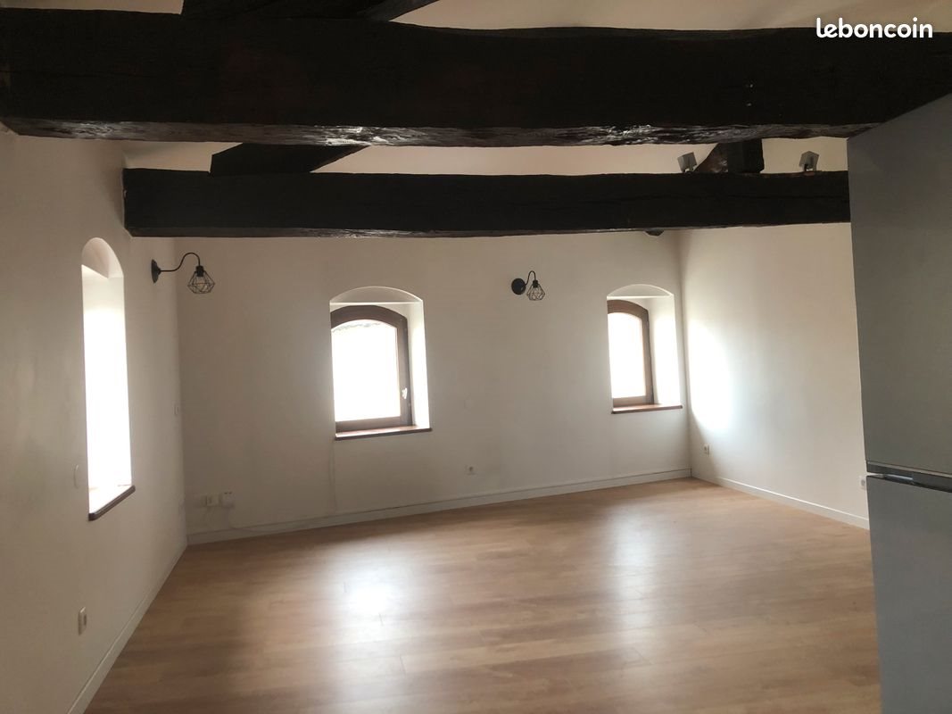 Appartement à louer, 46m², Saint-Symphorien-sur-Coise