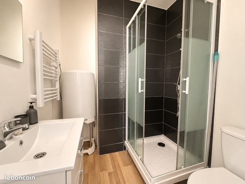 Appartement à louer, 17m², Saint-Étienne
