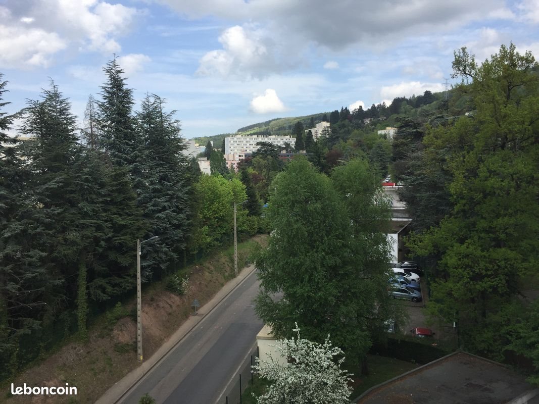Appartement à louer, 25m², Saint-Étienne