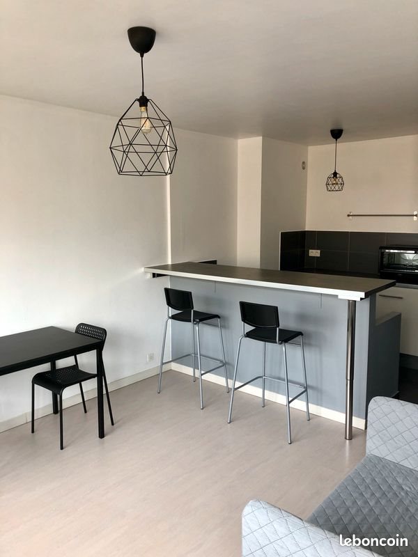 Appartement à louer, 30m², Saint-Etienne