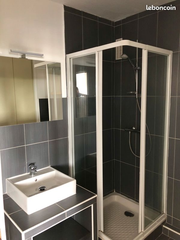 Appartement à louer, 30m², Saint-Etienne