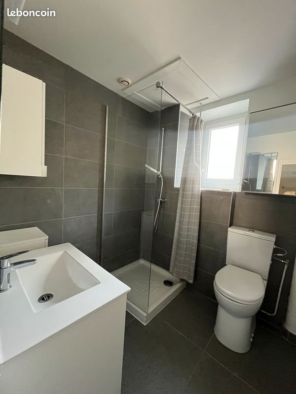 Appartement à louer, 45m², Vienne