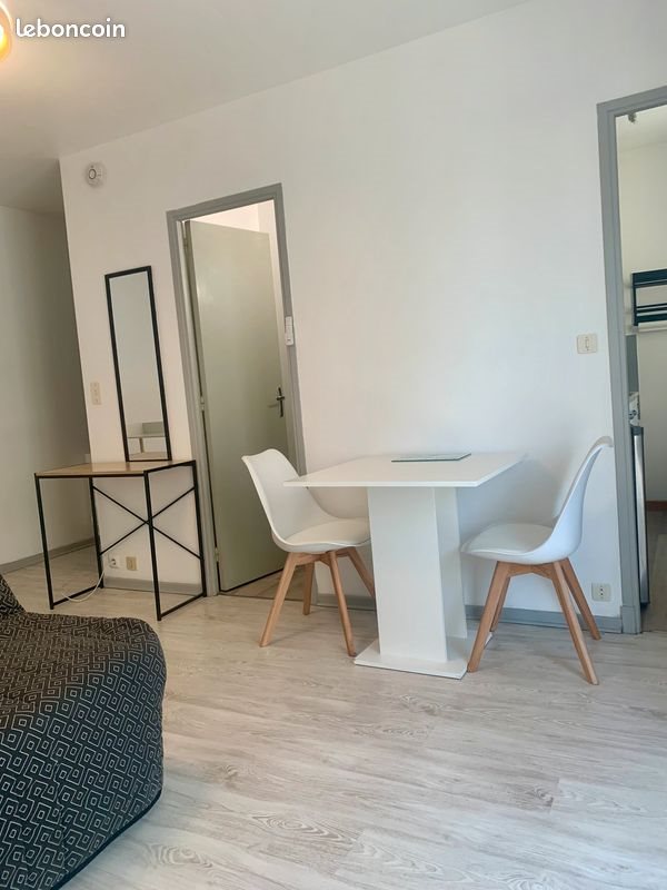 Appartement à louer, 28m², Albi
