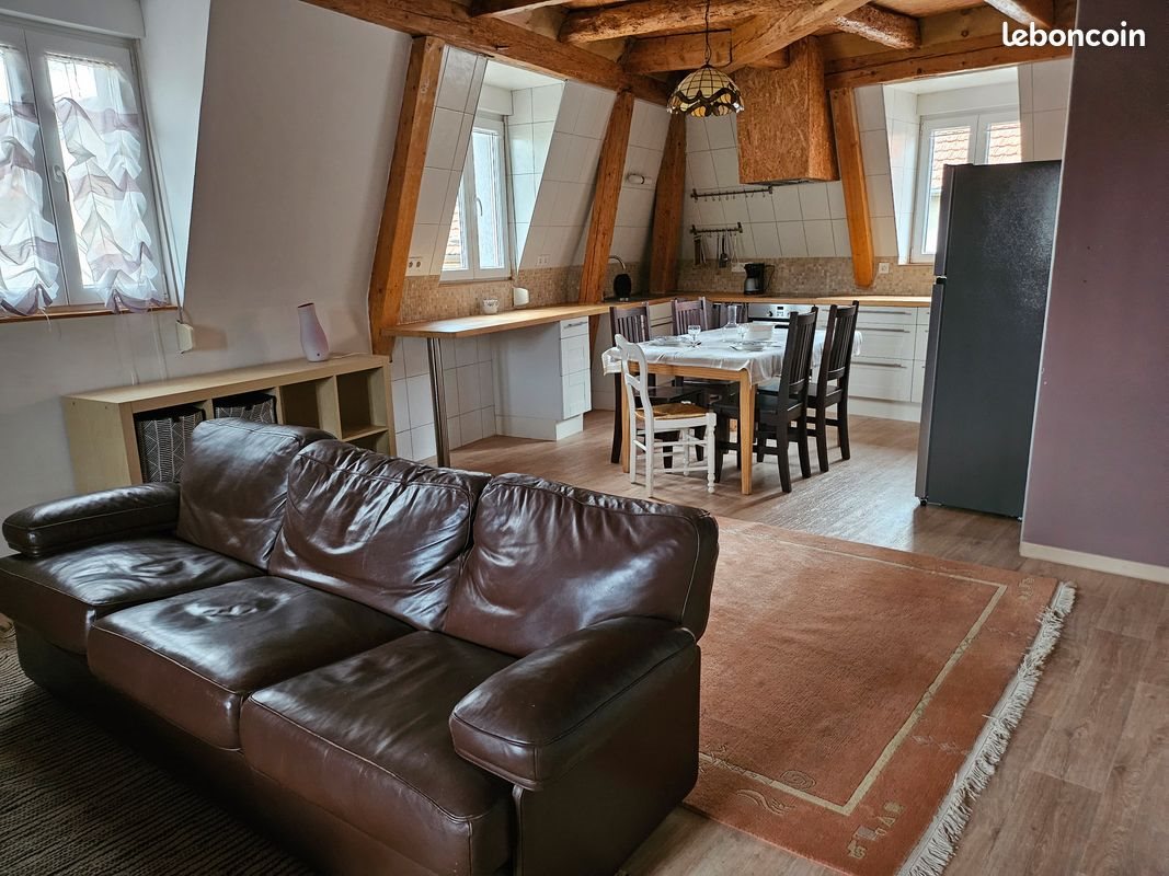 Appartement à louer, 47m², Delle