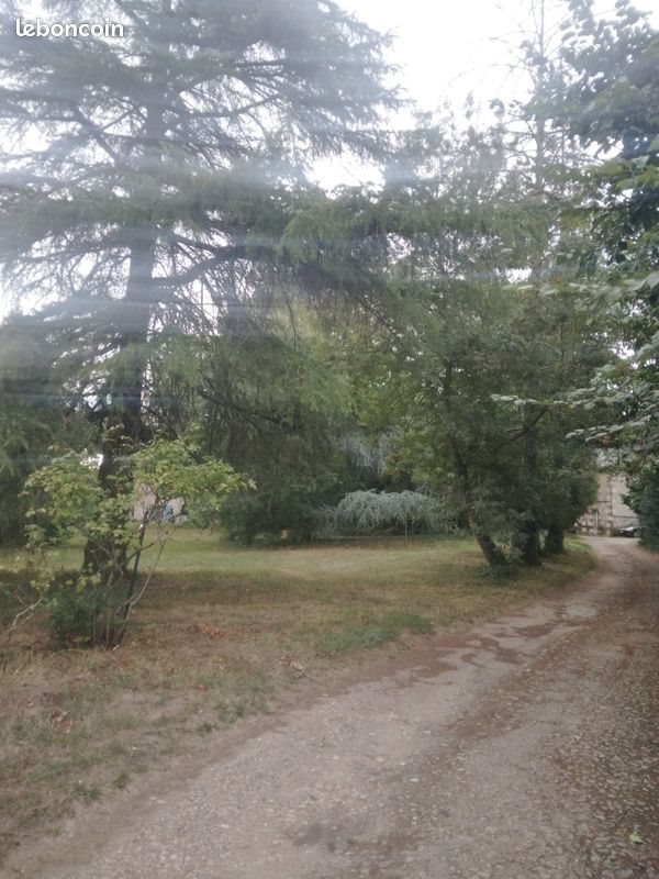 Appartement à louer, 23m², Angers