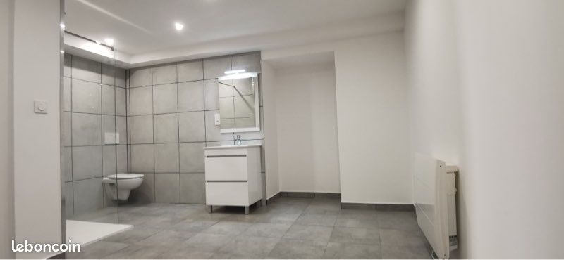 Appartement à louer, 45m², Rives