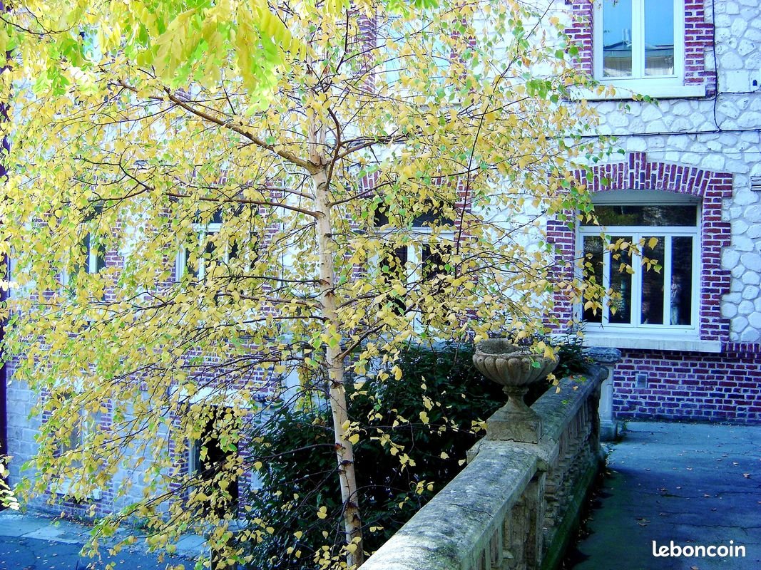 Appartement à louer, 46m², Arras