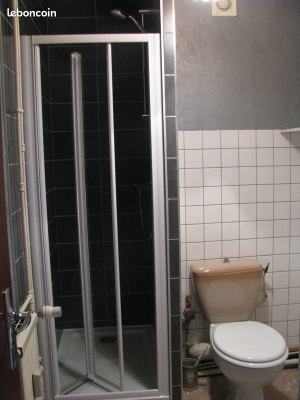 Appartement à louer, 29m², Nancy