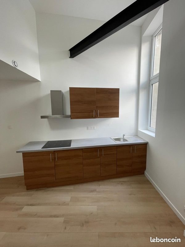 Appartement à louer, 46m², Roubaix