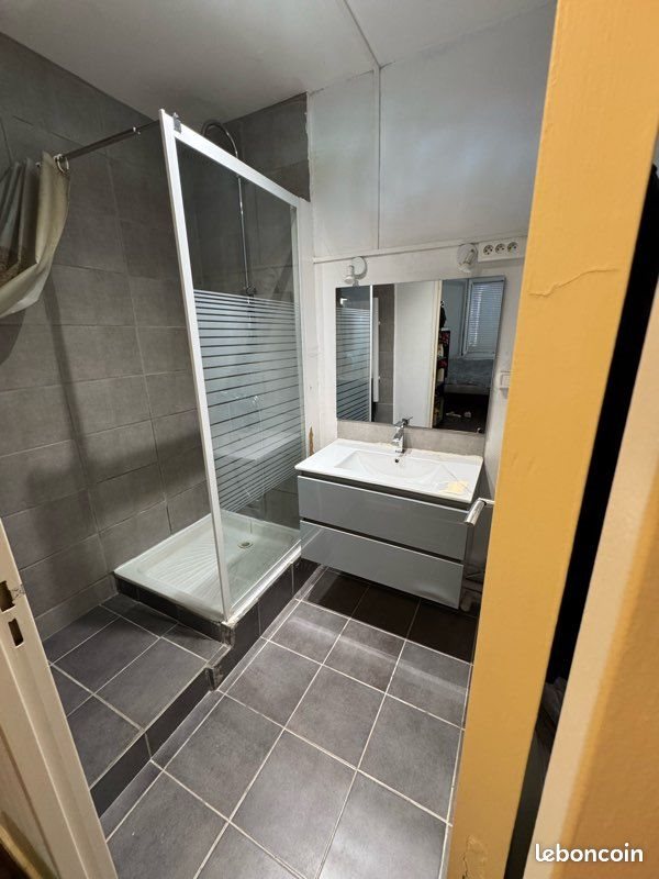 Appartement à louer, 35m², Saint-Etienne