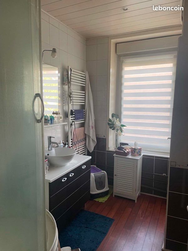 Appartement à louer, 52m², Nancy