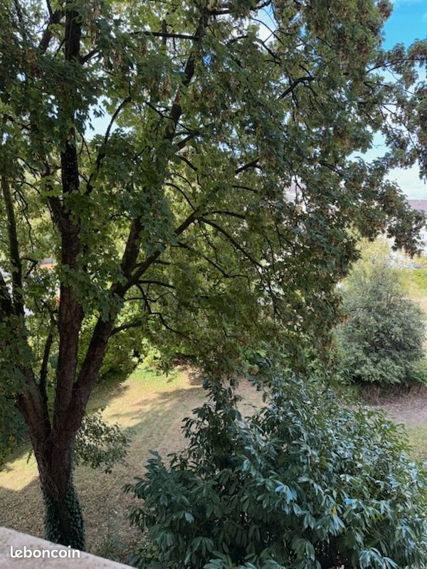 Appartement à louer, 20m², Charleville-Mézières