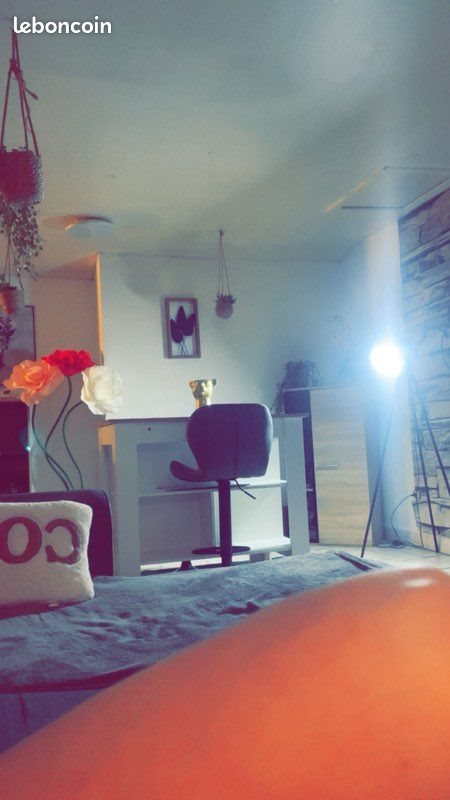 Appartement à louer, 60m², Biache-Saint-Vaast