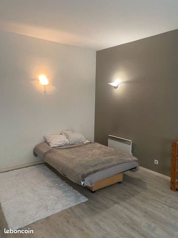 Appartement à louer, 36m², Saint-Étienne