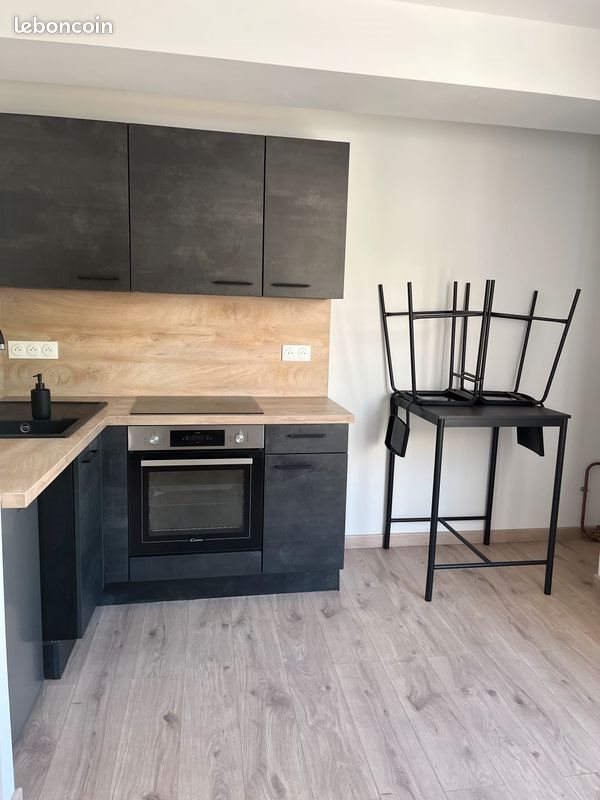 Appartement à louer, 39m², Le Puy-en-Velay