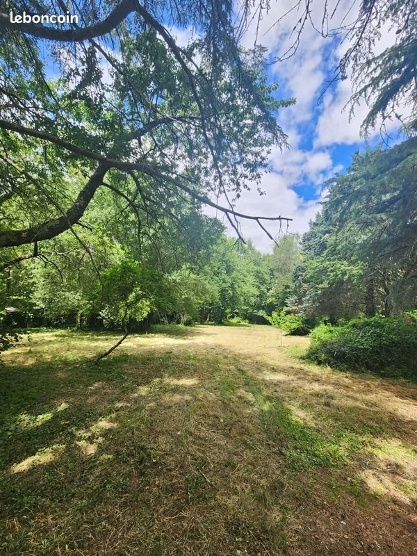 Maison à vendre, 223m², Reugny