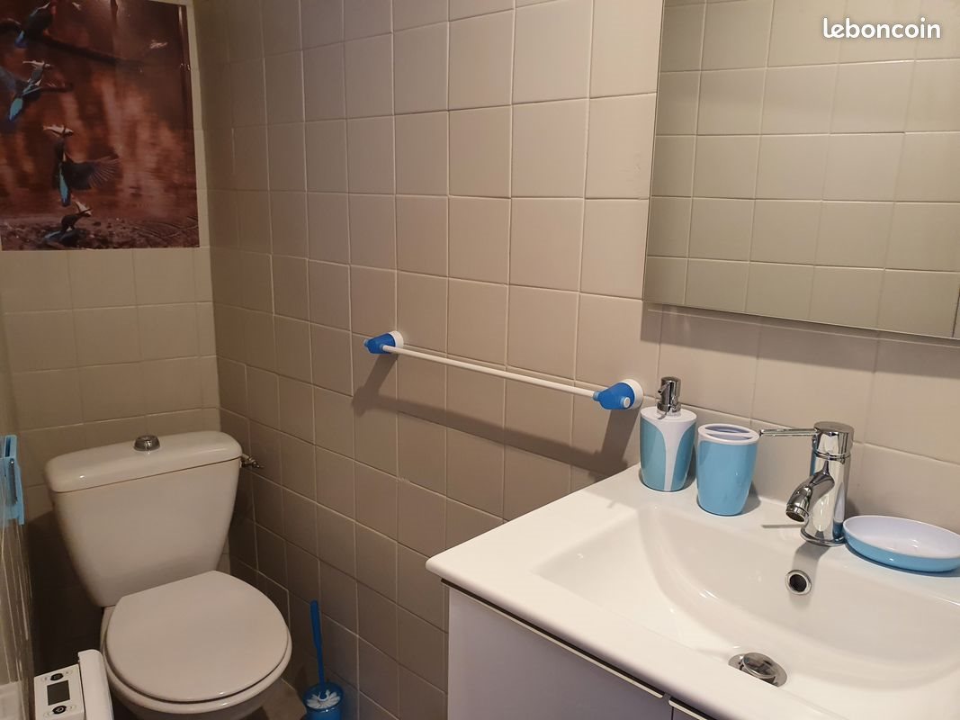 Appartement à louer, 14m², Amélie-les-Bains-Palalda