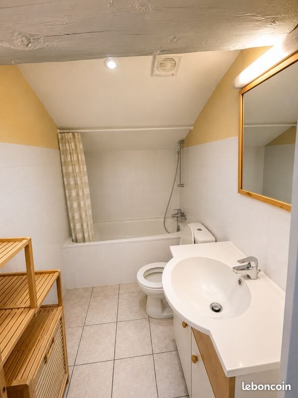 Appartement à vendre, 20m², Saint-Etienne