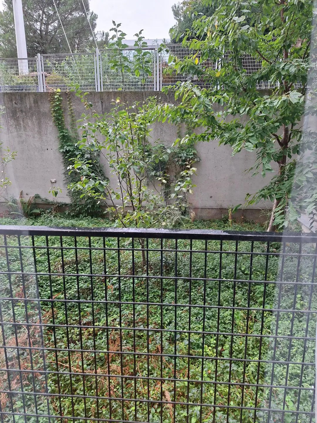 Appartement à vendre, 84m², Paris 14ème