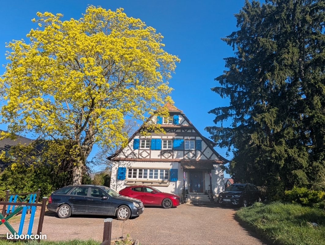 Maison à vendre, 327m², Gundershoffen