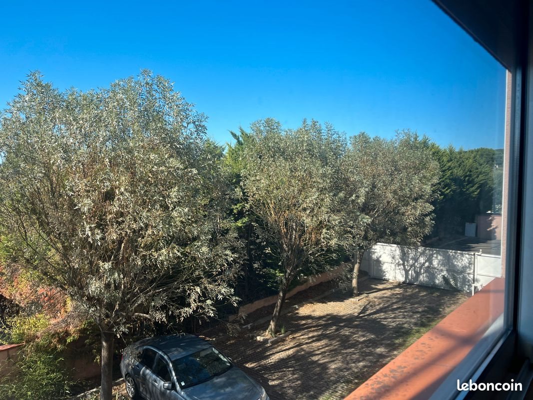 Appartement à louer, 50m², Castelginest