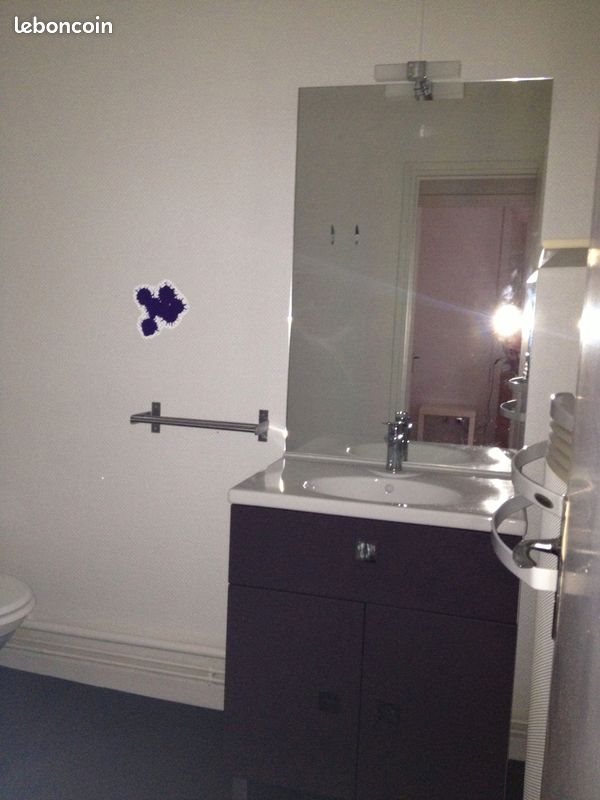 Appartement à louer, 30m², Saint-Etienne