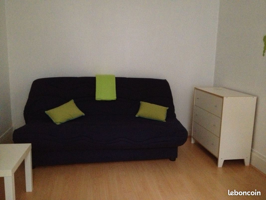 Appartement à louer, 30m², Saint-Etienne