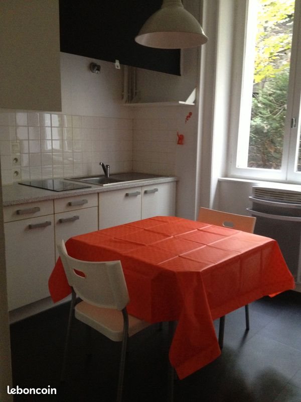 Appartement à louer, 30m², Saint-Etienne