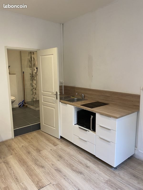 Appartement à louer, 24m², Saint-Etienne