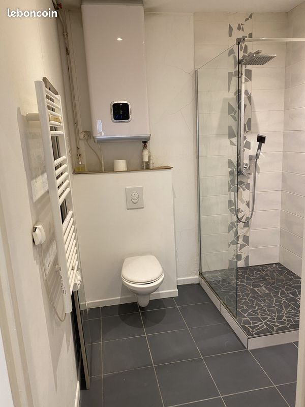 Appartement à louer, 24m², Saint-Etienne