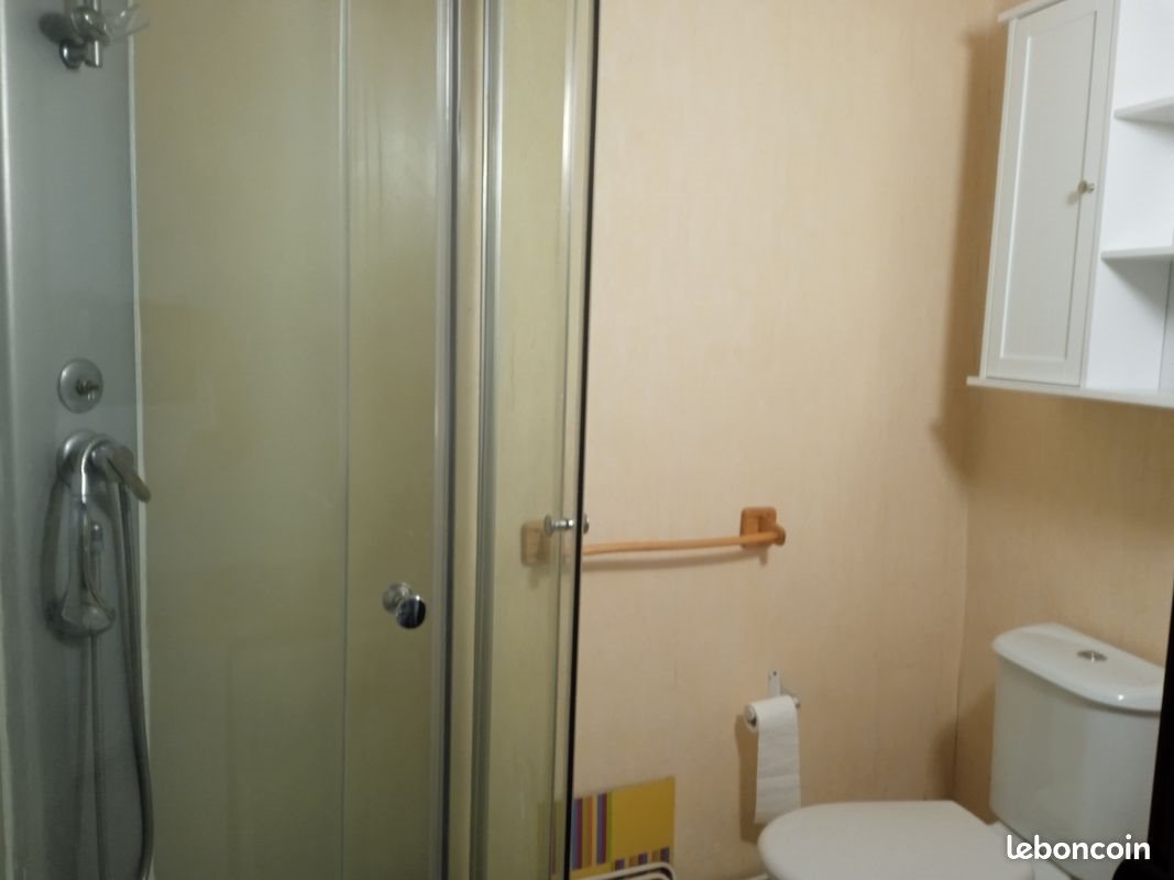 Appartement à louer, 13m², Saint-Etienne