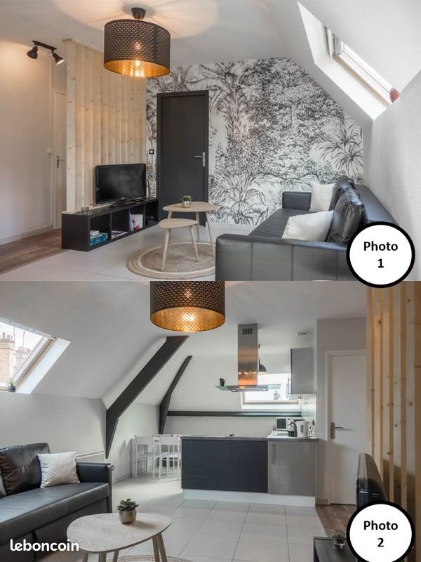 Appartement à louer, 41m², Orléans