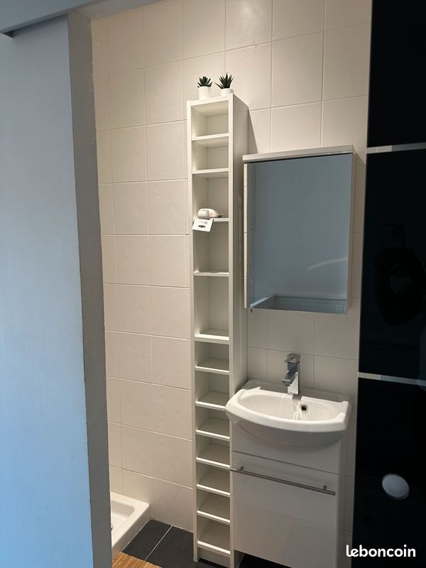 Appartement à louer, 17m², Metz