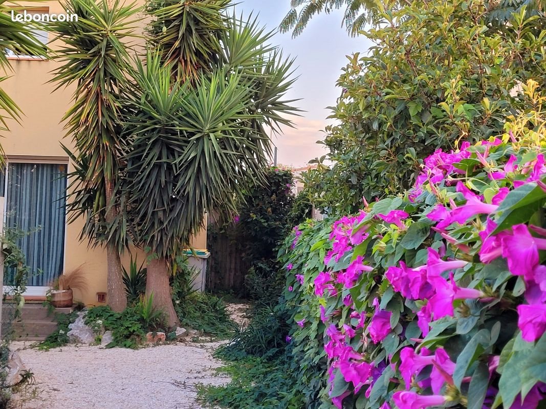 Maison à louer, 60m², Sainte-Marie-la-Mer