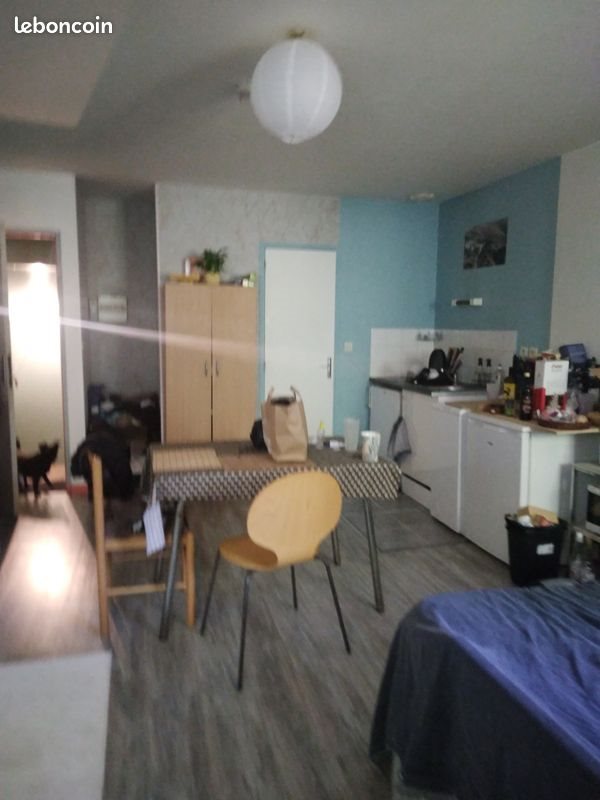 Appartement à louer, 25m², Angers