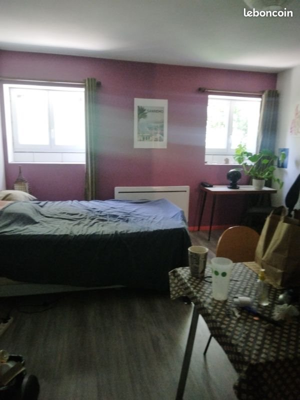 Appartement à louer, 25m², Angers