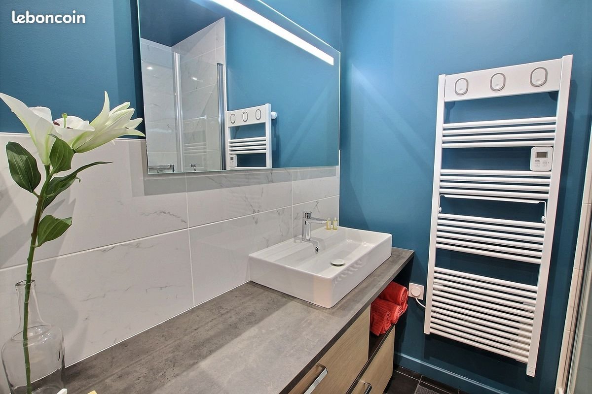 Appartement à louer, 50m², Lyon 3ème