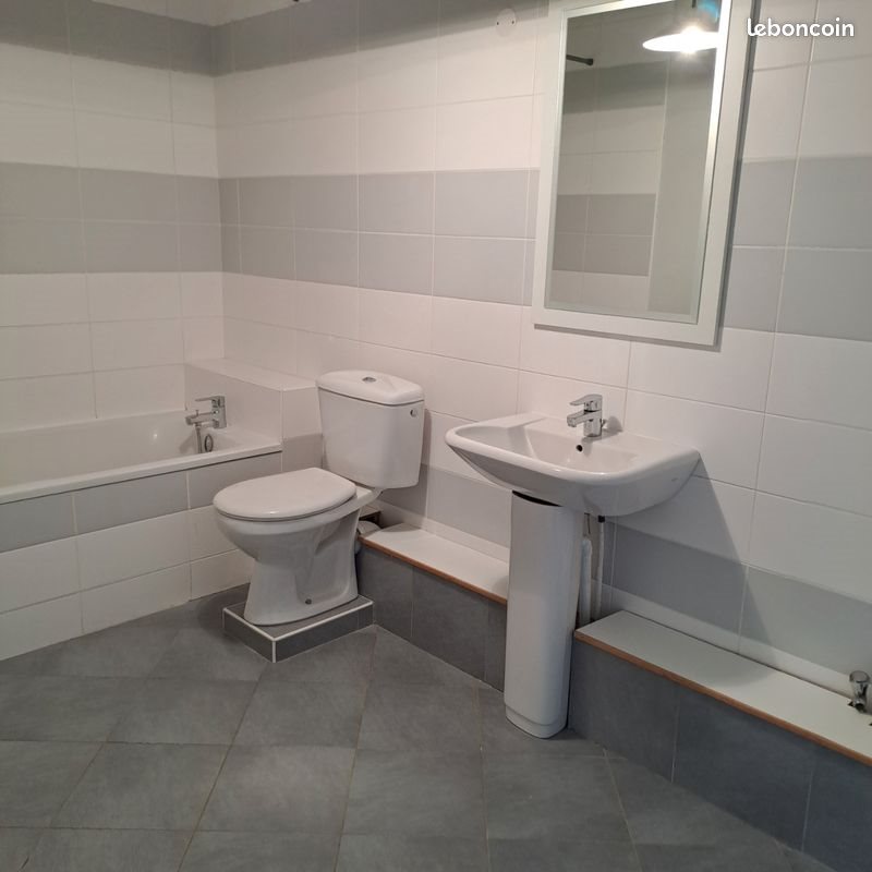 Appartement à louer, 53m², Chaumont