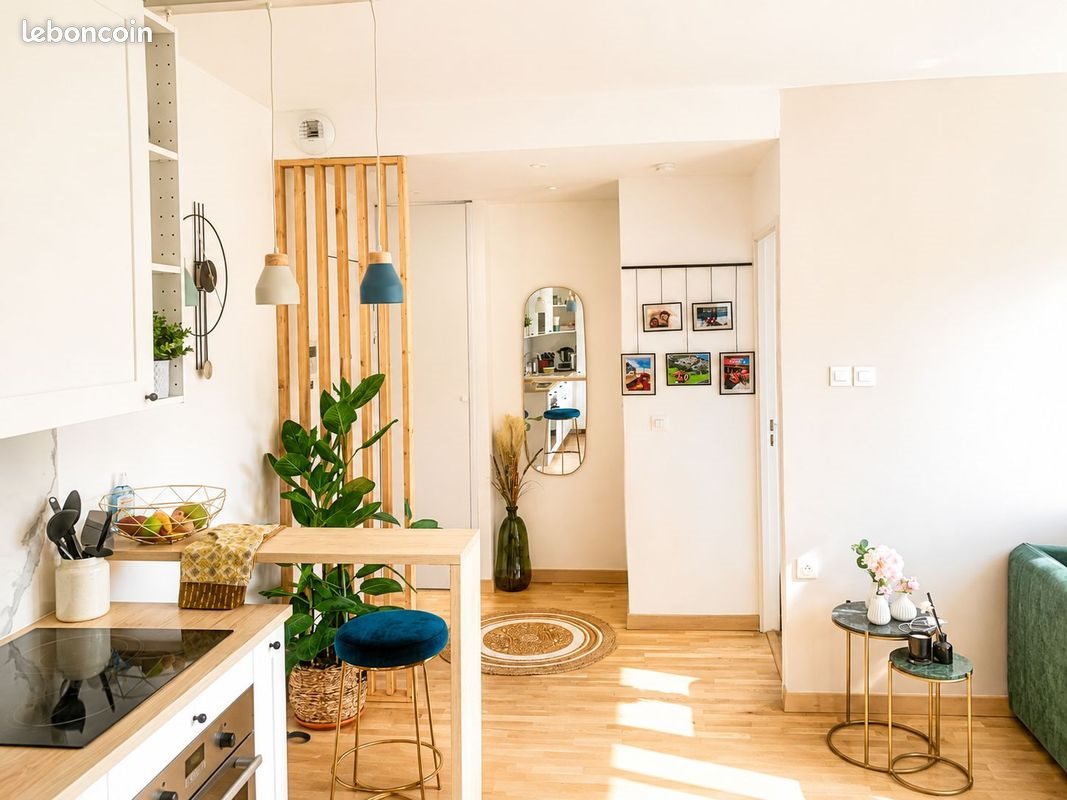 Appartement à louer, 56m², Le Plessis-Robinson