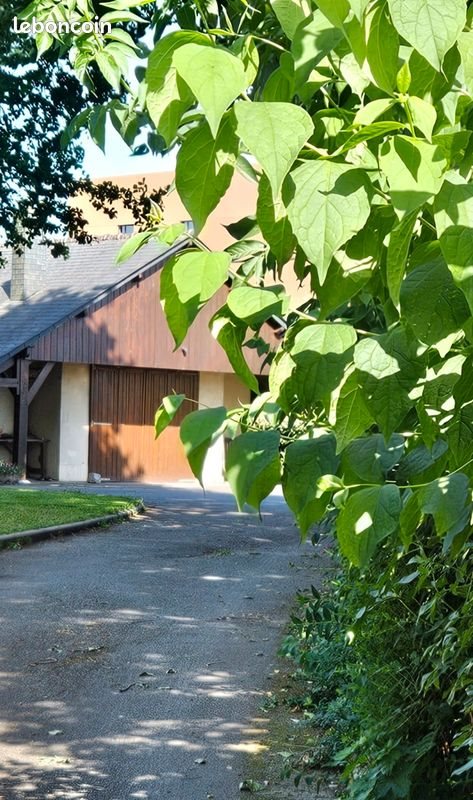 Maison à louer, 45m², Vitré