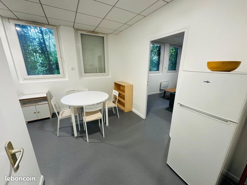 Appartement à louer, 46m², Saint-Étienne