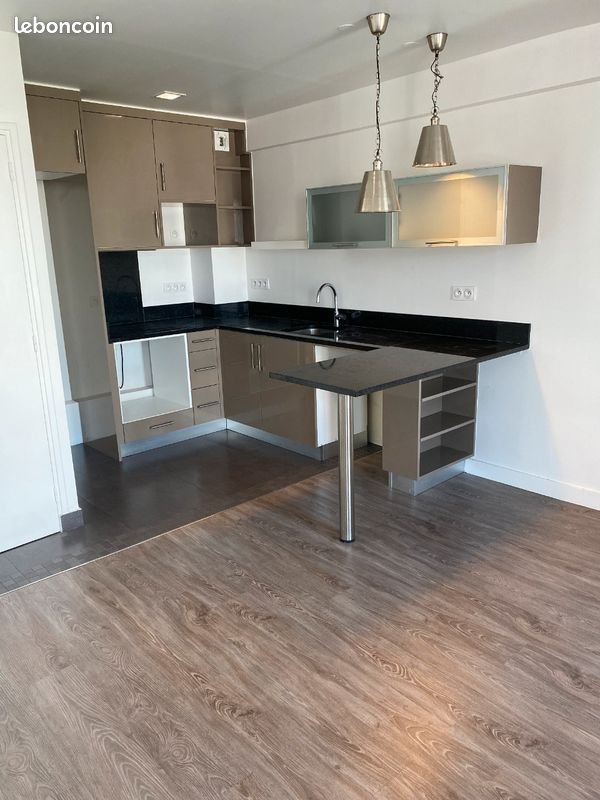 Appartement à louer, 50m², Ivry-sur-Seine