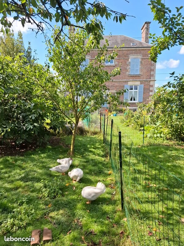 Maison à louer, 100m², Vimoutiers