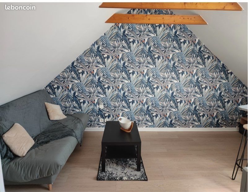 Appartement à louer, 20m², Trégunc
