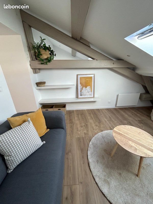 Appartement à louer, 45m², Saint-Étienne
